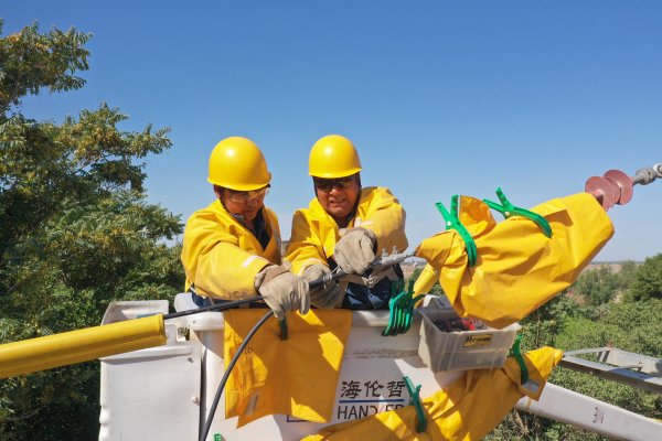 银丰配资 “电力血管”通田间　智慧灌溉助升级
