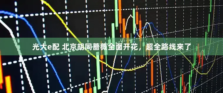 光大e配 北京胡同蔷薇全面开花，超全路线来了